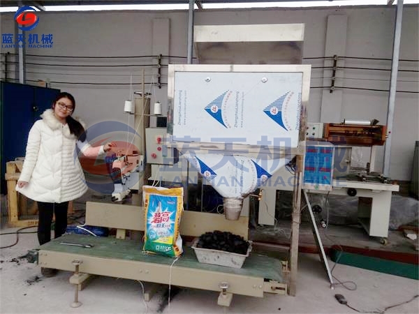 Charcoal Briquette Packing Machine